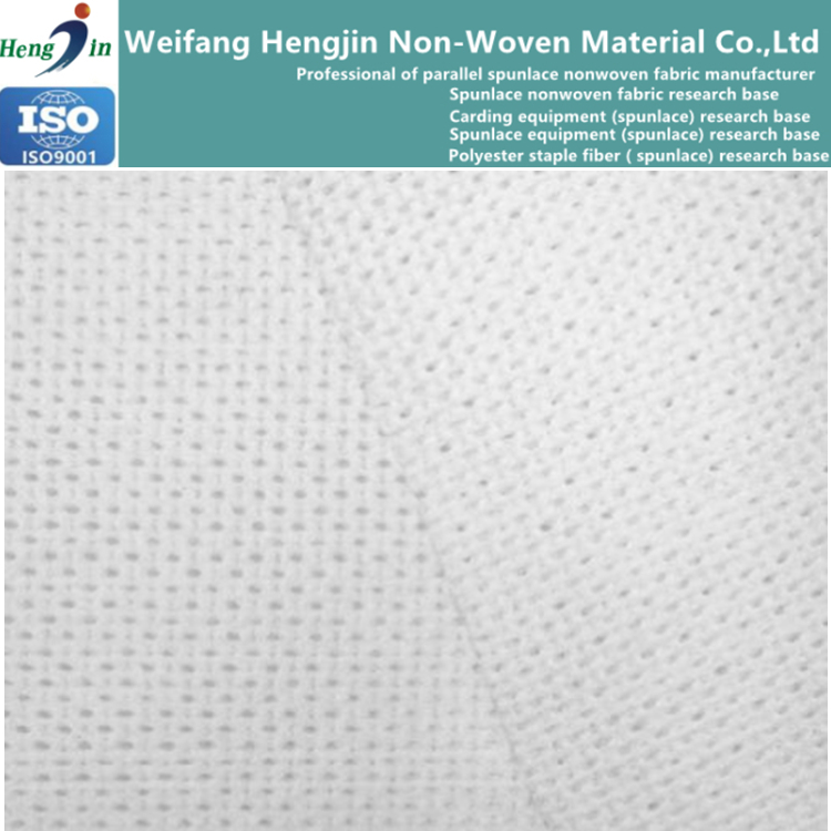 Mesh Spunlace Non-Woven Fabric